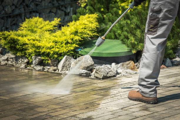 Best Vinyl Siding Pressure Washing in Seth Ward, TX